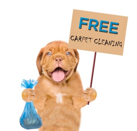 Free carpet cleaning.jpg