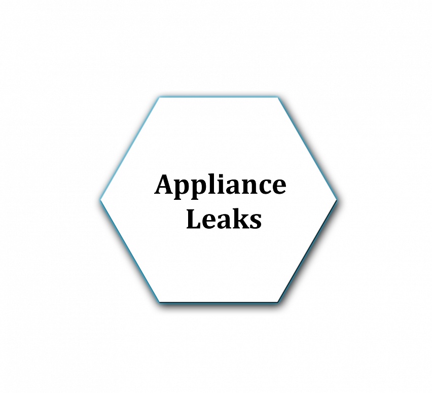 Applance leaks